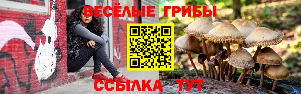 Псилоцибиновые грибы мицелий  Вход с VPN  Кувандык 